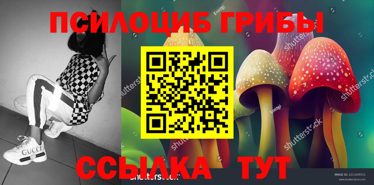 Псилоцибиновые грибы MAGIC MUSHROOMS  Вход с VPN  наркотики  Сегежа 