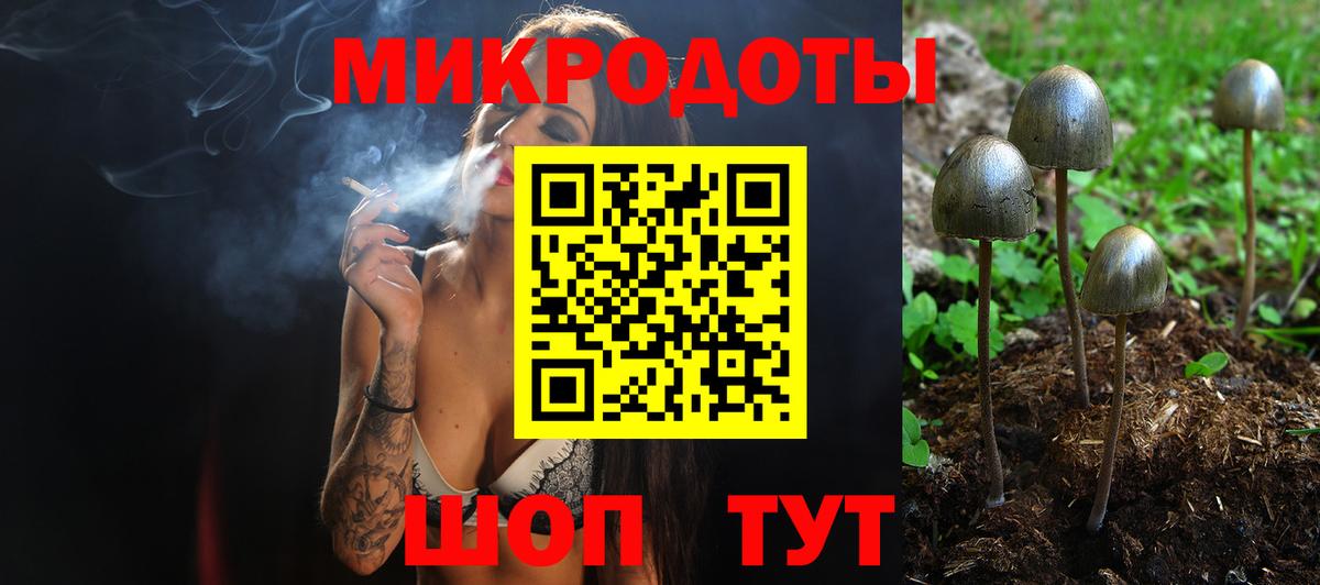 Псилоцибиновые грибы Magic Shrooms Сегежа